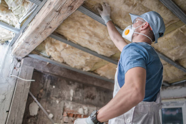 Best Insulation Materials and Products in Mineola, TX